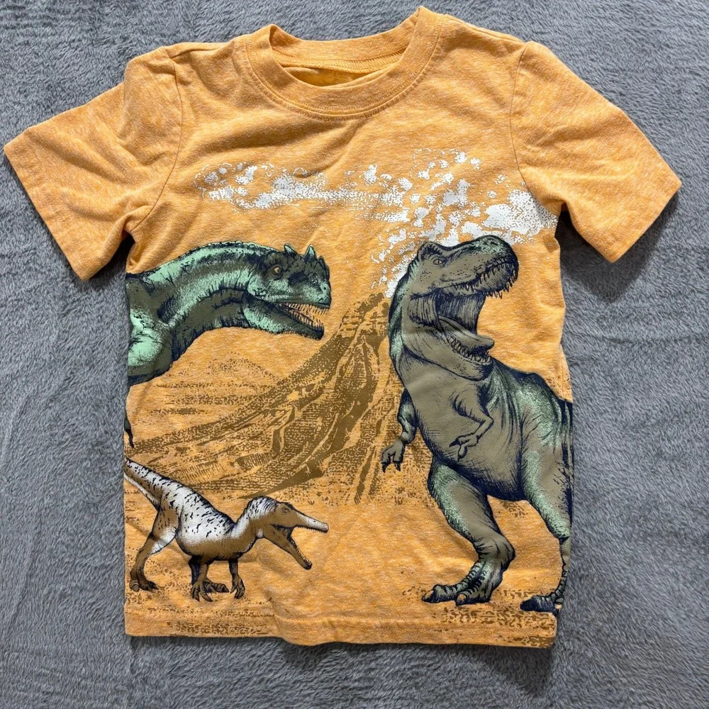 Carter's Garanimals 4T Multicolor Dinosaur T-Shirt Sweatshirt Lot Casual Vintage